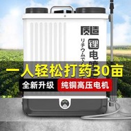 公司貨免運】【電動噴霧機】噴霧器 家農用電動高壓鋰電打藥機 噴藥機 噴霧器 環境消毒噴壺 背負式農藥噴灑器