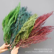Immortal Cypress Pine Tree Christmas Tree Pine Cypress Leaf Dragon Cypress Branch Flower Arrangement