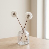 Dried Dandelion Flowers for Home and Studio Decoration - Dandelion Flowers Photography Accessories &