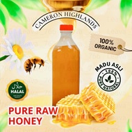 1 KG/ 500gm Wholesale【Cameron Highland🔥 】100%Original Madu Kelulut/ Madu Tualang/ Madu Asli /Raw Honey 天然纯正蜂蜜糖
