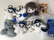 TWS 專輯、小卡、公仔、tws盤