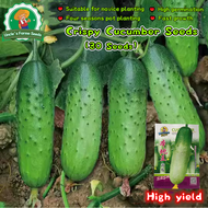 ราคาถูก ของแท้ 100% 30เมล็ด เมล็ดแตงกวา สปีดแม็ก เมล็ดพันธุ์แตงกวา เมล็ดพันธุ์ผัก เมล็ดพันธุ์แตงกวาส