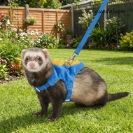 GUADALUPE Ferret Vest Harness, Dinosaur Shape