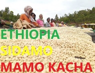 Unroasted Ethiopia Sidamo Mamo Kacha Arabica Coffee Bean 500gram