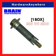 BRAIN TAC Hex Head Expansion Bolt [1 Box] - Hex Nut Sleeve Anchor Expansion Screw Bolt Burst / L-Hoo