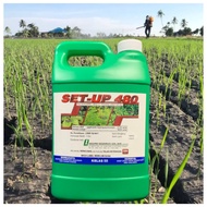 [ORIGINAL] 4L SET-UP 480 GLYPHOSATE 41% RACUN RUMPUT LALANG/RACUN RUMPAI SERUPA ROUNDUP/HERBICIDE/IM