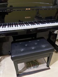 Wesberg Duo+ 立式鋼琴