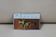 SB018 8111 臺灣水果 中華電信 光學卡 磁條卡 電話卡 通話卡 公共電話卡 二手 收集 無餘額 收藏 電信總局