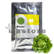 Benih Selada BRUMA RZ Isi 1000 Pills Iceberg Lettuce Rijk Zwaan