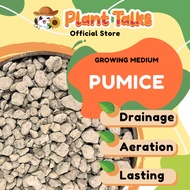 Plant Talks Pumice Stone for Soil Amendment Plants Mixing
