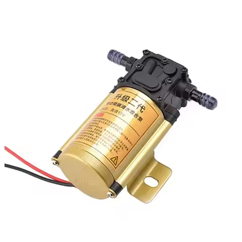 5L/min 12V 24V 220V DC Petrol Pump Fuel Transfer Pumps For Diesel Oil Water 12 Volt 24 V Industrial 