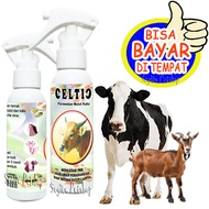 Obat Sariawan Sapi Kambing Penyakit Mulut Kuku PMK Celtic Spray