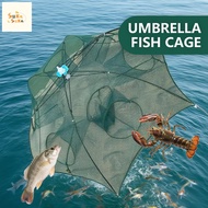 🐟[8/6 Holes Fishing Net] BuBu Payung Ikan Udang Portable Cast Fold Crab Trap Bubu Payung 虾网
