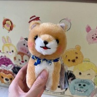 豆柴三兄弟豆太郎