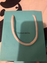 Tiffany co 手鏈