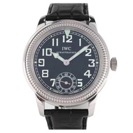Iwc IWC Replica Series 44mm Manual Mechanical Men's Watch IW325401