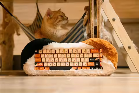 Dry Studio PETBRICK 65 Gaming Keyboard 2.4G Wireless Pettable Custom Mechanical Leaf Spring Keyboard