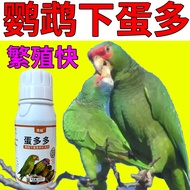 Parrot Stepping on Back Aphrodisiac Egg Spirit High Calcium Eggs More No Eggs Non-Sperm Special for 