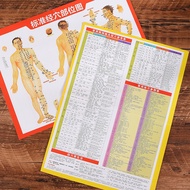 Moxibustion Meridian Chart Acupuncture Points Body Chart Wall Chart Health Care Traditional Chinese 