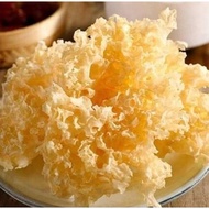 WHITE FUNGUS / KULAT /KULAT PUTIH /CENDAWAN PUTIH