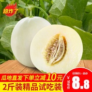 【2022年头茬甜瓜】陕西阎良新鲜甜瓜小籽瓜蜜瓜白皮瓜香瓜脆蜜瓜小香瓜妙宜果味现摘现发时令新鲜水果 2斤装精品(单瓜400g起)【优质】爆甜