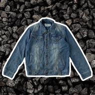Denim jacket litmus