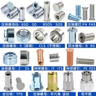 Flat Carbon Steel Embedded Nut TIWQ