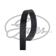 Front Engine Belt 5PK CHEVROLET ZAFIRA 1.8 PEUGEOT 306 1.6 BENZ W177 W247 C118 H247 X247 M282