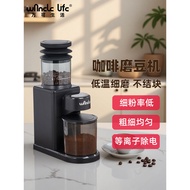 Stainless Steel 26 New Style Wancle Household Coffee Electric Grinder Espresso Grinder Electric Grin