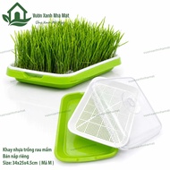 KAM – 2-layer sprout growing tray with lid - size 34x25x4.5cm
