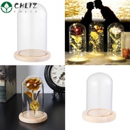 CHLIZ Glass cloche Terrarium Tabletop Fairy Lights Glass Vase Terrarium Transparent Bottle Flower Storage box