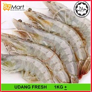 FRESH FROZEN PRAWN  (±1KG) / UDANG LAUT SEGAR SEJUK BEKU [KLANG VALLEY ONLY]