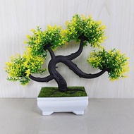 Azgalery PBP05 / Tanaman Hias Pot Bunga Plastik Dekorasi Ruangan Kamar Pohon Bonsai Pajangan Grosir
