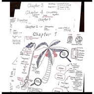 🌈[IGCSE NOTES] IGCSE Year 8 combined science notes (soft copy)