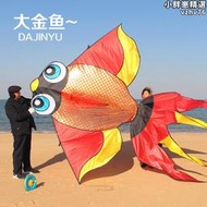 濰坊風箏 新款高檔大型亮片魚風箏 好飛易飛 成人巨型大風箏