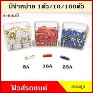 PHYLLIS Bone Fuse GBC European Car 8A 16A 25A Amp (10 Unit) Mercedes Benz White Red Blue East Europe