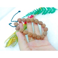 produk (ECER) GELANG JENITRI 10MM/GELANG JENITRI RUDRAKSHA silahkn