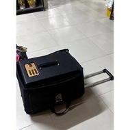 Shockproof bag fits D'Auris 200 - 300 speakers