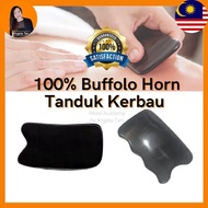 iMust Big Gua Sa Buffalo Horn Guasha Body Tanduk Kerbau Papan Guasa 纯水牛角大刮刀刮痧板