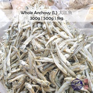 [N.G] Whole Anchovy (Large) Ikan Bilis 大江鱼 | 300g/500g/1kg