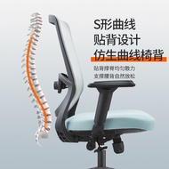 S/🔑Computer Chair Staff Office Meeting Room Ergonomic Lifting Swivel Chair Bedroom Study Study Armchair Mesh IRQ7