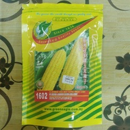 200gram Biji Benih F1 Hibrid Jagung Manis Asia Best, F1 Hybrid Asia Best Super Sweet Corn Seeds 1602