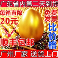 Guangzhou Wholesale Opening Free Shipping Smashing Eggs Golden Eggs Golden Eggs Smashing Eggs Easter