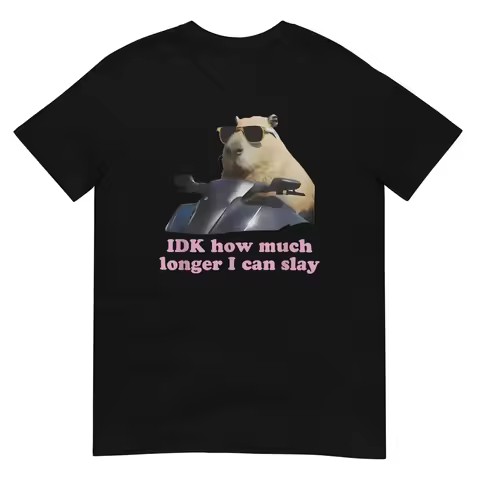 Women Funny Capybara Meme Graphic Soft Tee IDK How Much Longer I Can Slay T Shirt Casual Streetwear 