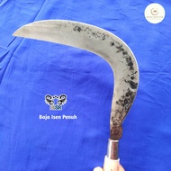 Arit rumput baja isen penuh asli