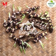 Terlaris Bibit Dlingo / Jeringau / Dringo Segar SIAP TANAM