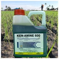 [ORIGINAL] 4L KEN-AMINE 600 Racun Rumput/RACUN RUMPAI/Racun Serap/KENAMINE /HC AMINE 600 Sama Hextar