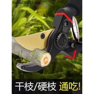Pruning Shears Branch Shears Pruning Branches Special Shears Gardening Shears Pruning Shears Fruit T