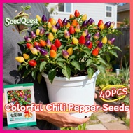 40pcs High Yield Colorful Chili Pepper Seeds Ornamental Potted Bolivian Rainbow Colorful Chili Peppe