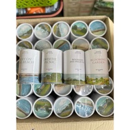 JANUA PERFUMEE VIRALLL💧💦